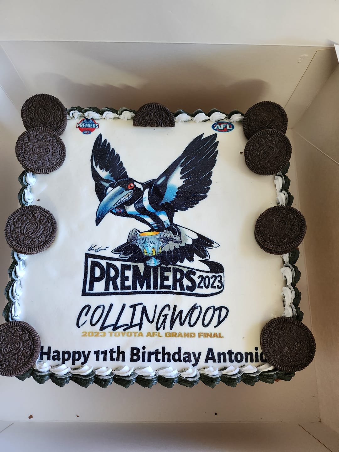 Customer photo review of 25cm x 25cm Square Custom Edible Icing Image