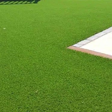 Customer photo review of Graceful Artificial Grass - 30mm Pile - 3.97m Wide