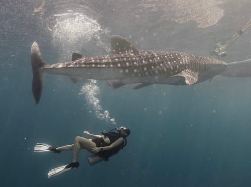 Customer photo review of Kamala Sporty Bikini Top