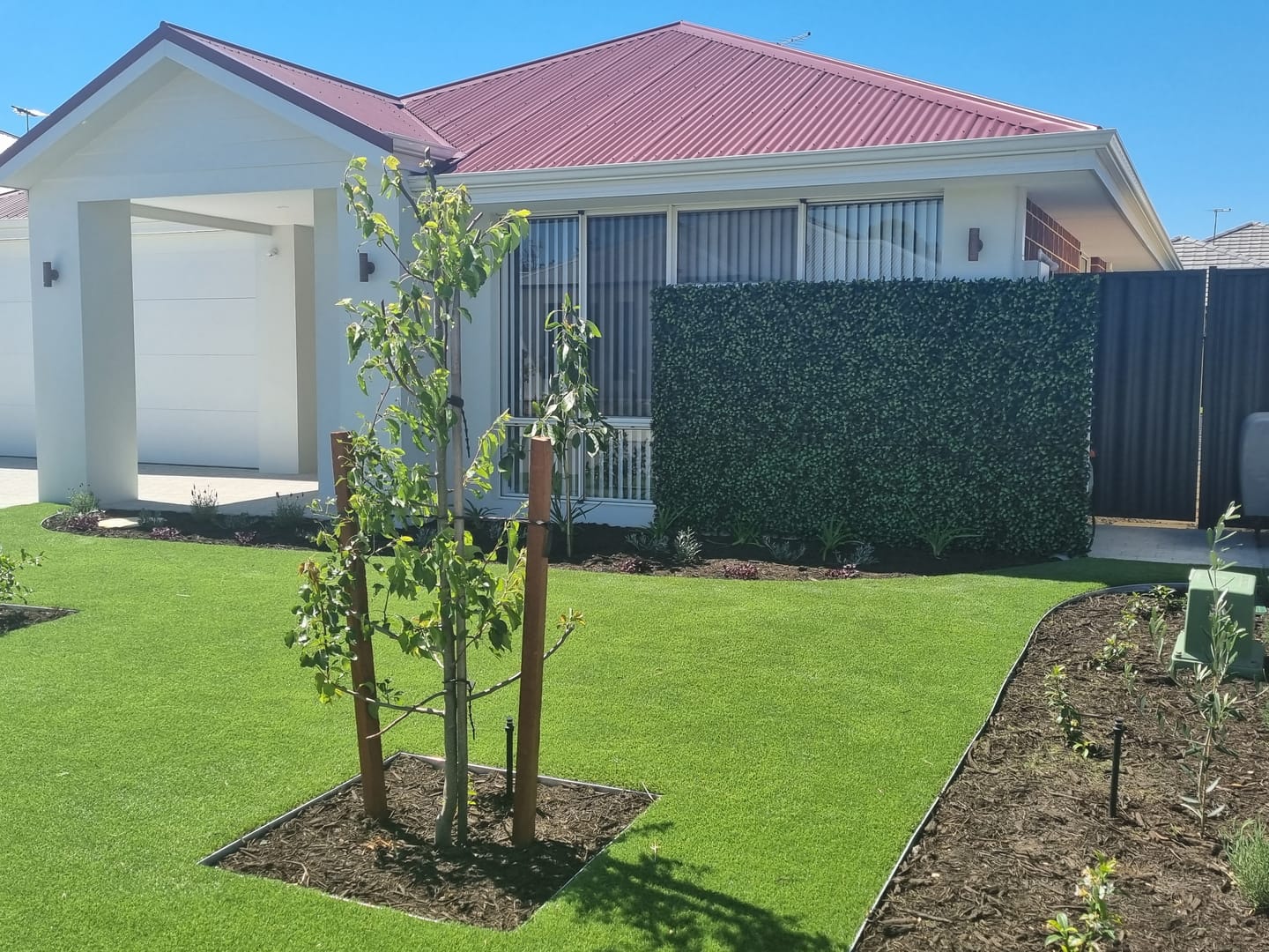 Customer photo review of Jasmine Artificial Hedge Screen / Green Wall Panel 100cm x 100cm UV Resistant