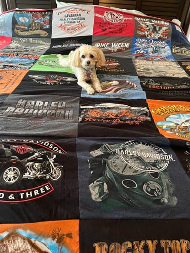 T-shirt quilt with motorcycles, biking themes by Robert from GA