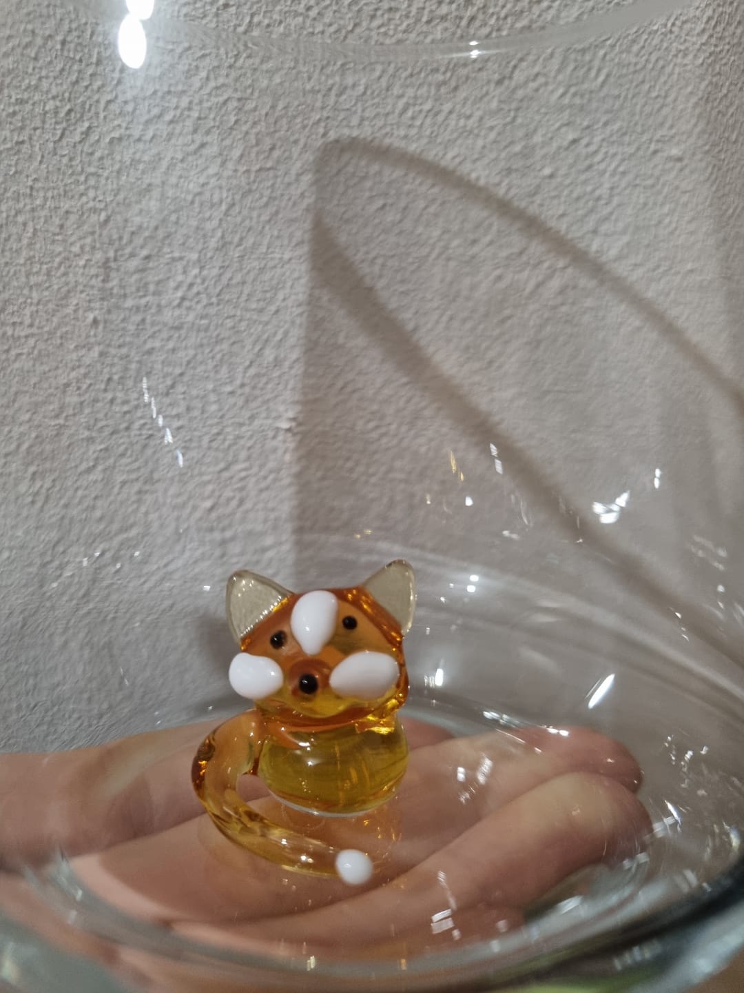 Customer photo review of Fox Glass