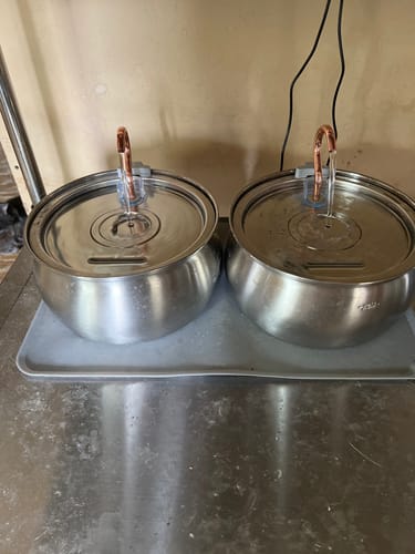 Customer photo review of Free $50 Gift Card