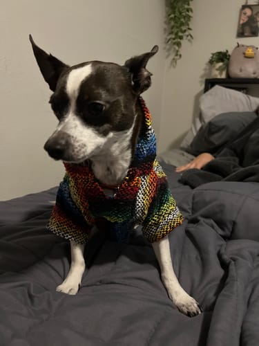 Customer photo review of Playa Poncho - Surprise Color