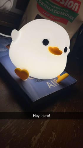 Customer photo review of UNEEDE LED Cute Bean Duck Night Light,Mini Benson Duck Night Light