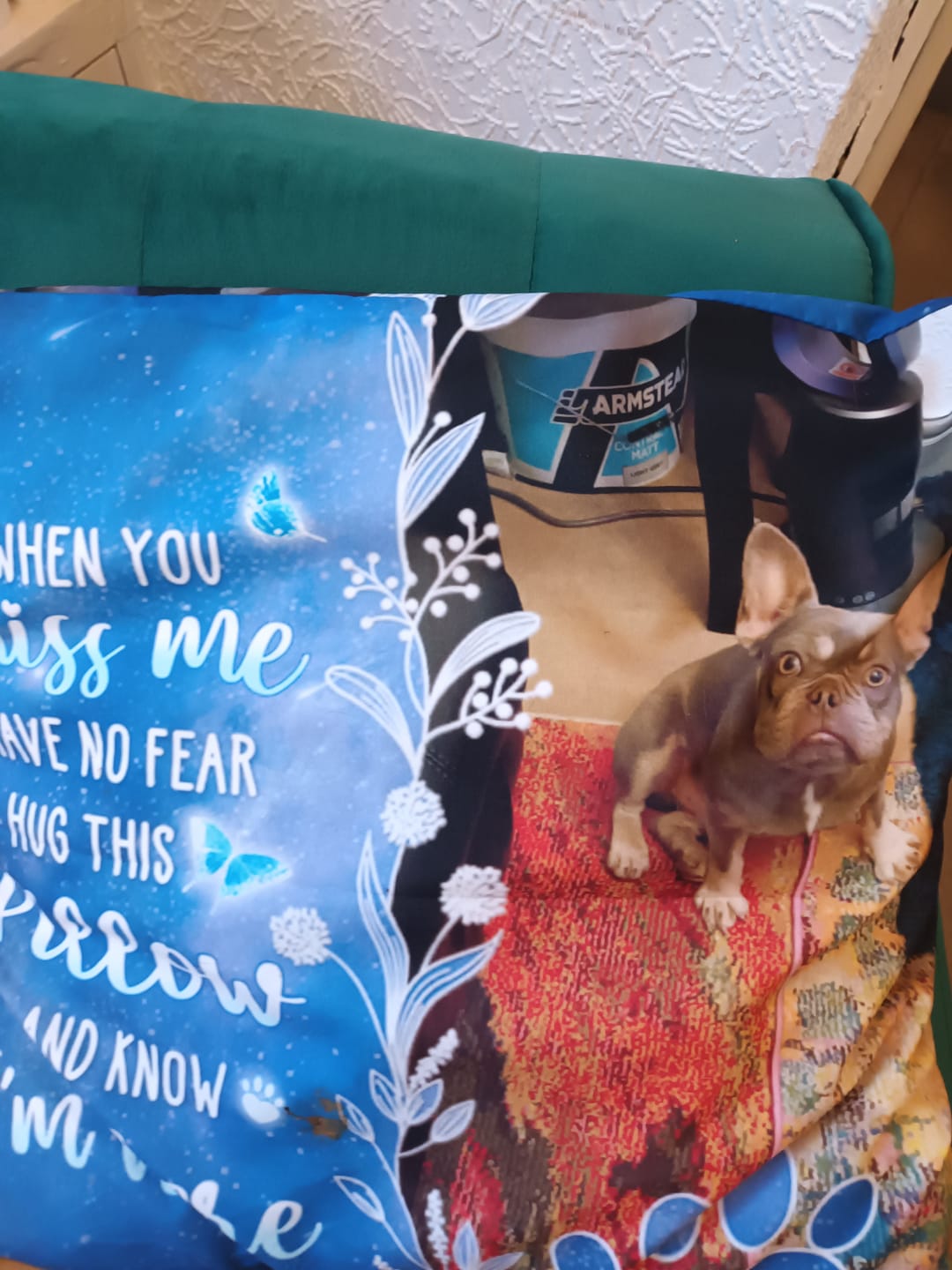 Customer photo review of Custom Photo My Love For You Is Always Here - Memorial Personalized Custom Pillow - Sympathy Gift, Gift For Pet Owners, Pet Lovers