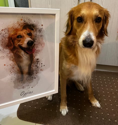 Customer photo review of Πορτραίτο Κατοικίδιου - Νερομπογιά