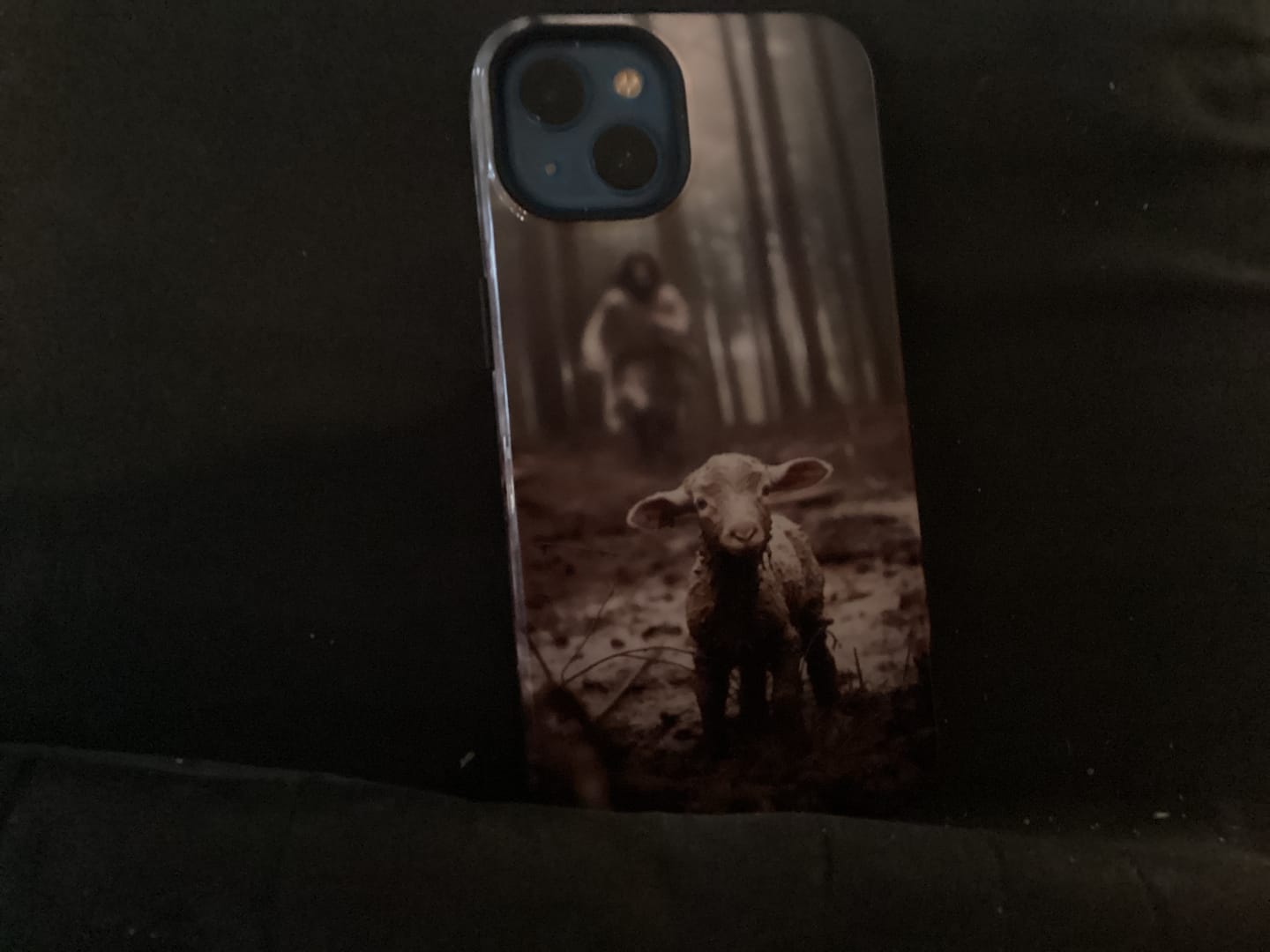Customer photo review of Jesus With The Sheep, Jesus Running After Lamb, Phone Case