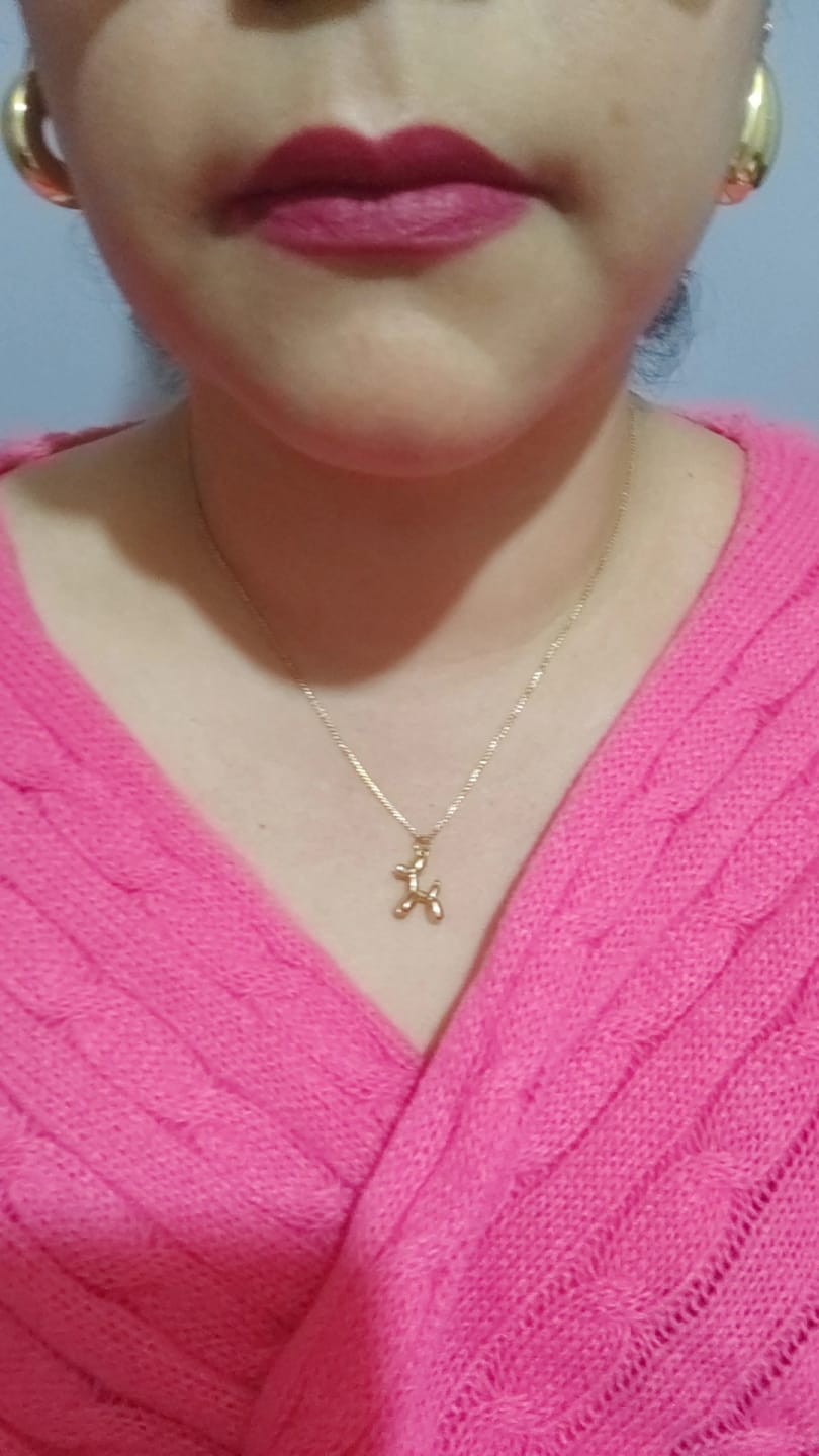Customer photo review of Collar Doggy