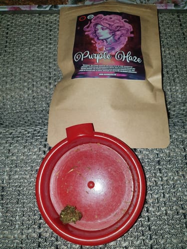 Customer photo review of Purple Haze