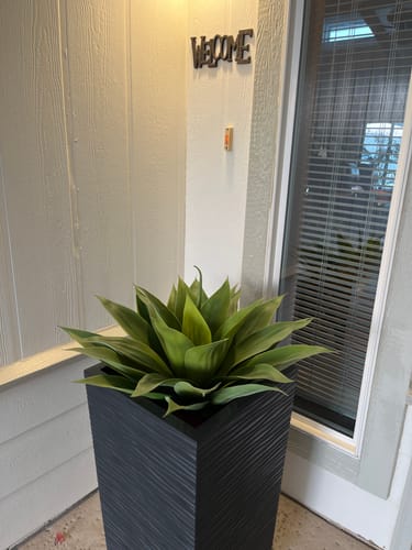Customer photo review of Bulk 23" Artificial Large Plants Agave Succulent Plant Natural Artificial Plants Wholesale