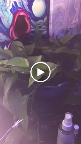 Customer video review of PlantWave