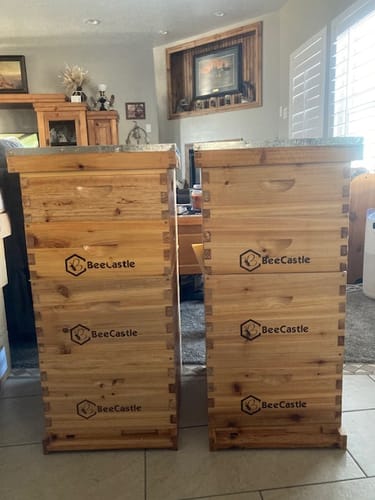 Customer photo review of BeeCastle Hives 10 Frame Wax Coat Complete Beehive Kit:2 Designed Deep Bee Boxes and 1 Super Medium Box,Includes Premium Wooden Frames and Beeswax-Plastic Foundation