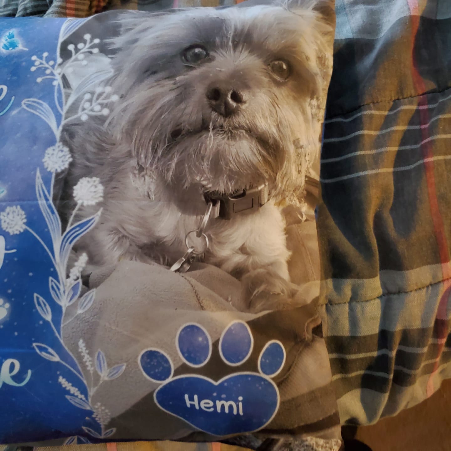 Customer photo review of Custom Photo My Love For You Is Always Here - Memorial Personalized Custom Pillow - Sympathy Gift, Gift For Pet Owners, Pet Lovers