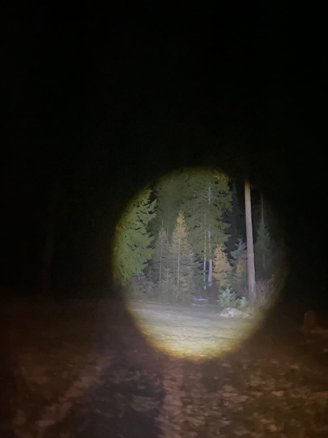 Customer photo review of LumineX Ultrabeam Flashlight