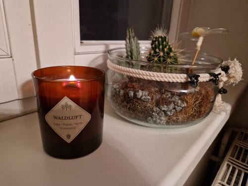Customer photo review of Waldluft Kerze (🌲)