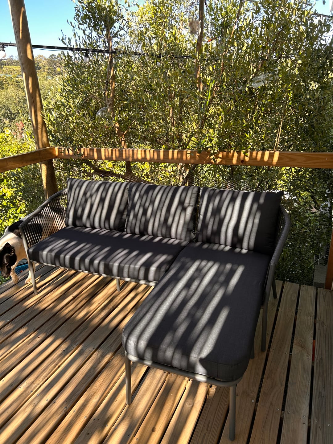 Customer photo review of Limoges Chaise Lounge Set