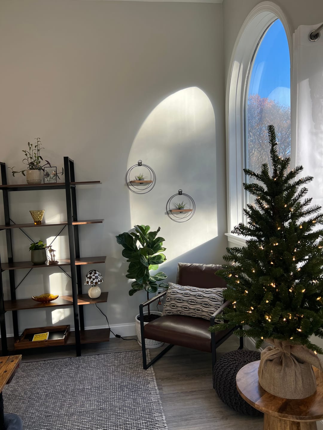 Customer photo review of Plant Shelf