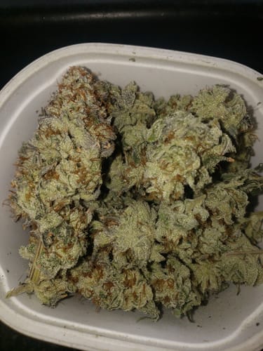 Customer photo review of Advanced Nutrients Bud Ignitor