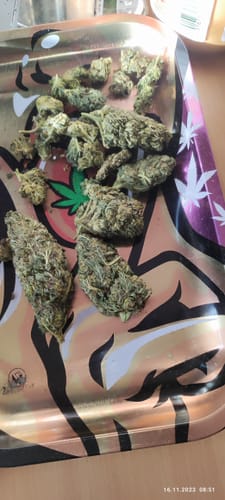 Customer photo review of 🍋 👑 Lemon King x 40%HHC