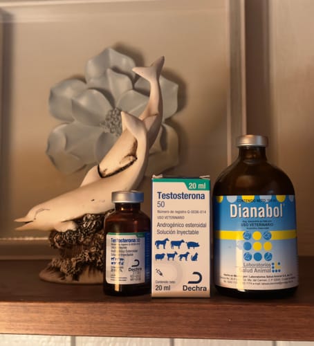 Customer photo review of Testosterona 50