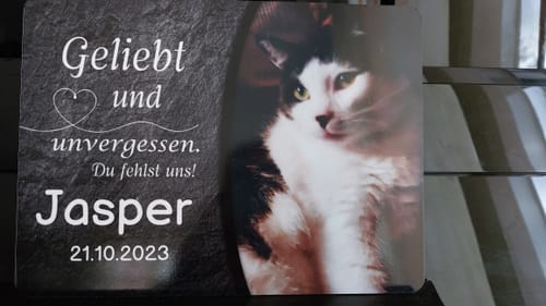 Customer photo review of Katzen Gedenktafel mit Foto & Spruch (UV- & Wetterfest)