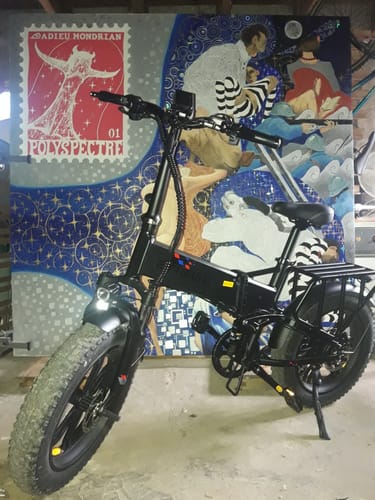 Customer photo review of Engwe Engine Pro 2022 Version 750W 20" Fat Bike Foldable 16Ah E Mountain Bike EMTB
