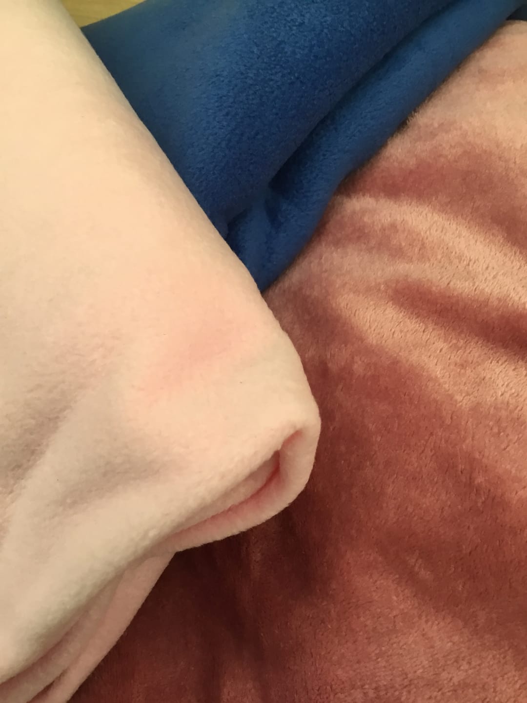 Customer photo review of Plain Fleece/Sweatshirt Remnants