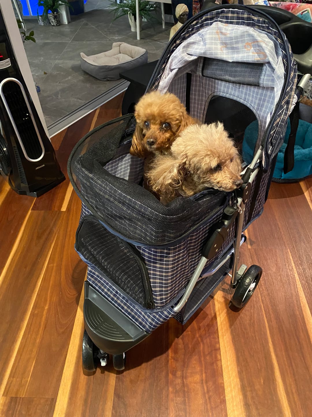 Customer photo review of PaWz Large Dog Stroller - 3 Wheels