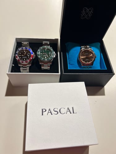Customer photo review of Pascal Timeless Classic Diamond Watch (Cocoa Elegance）