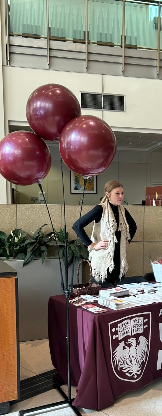 Customer photo review of DuraBalloon® 3-Balloon Cluster Pole Kit