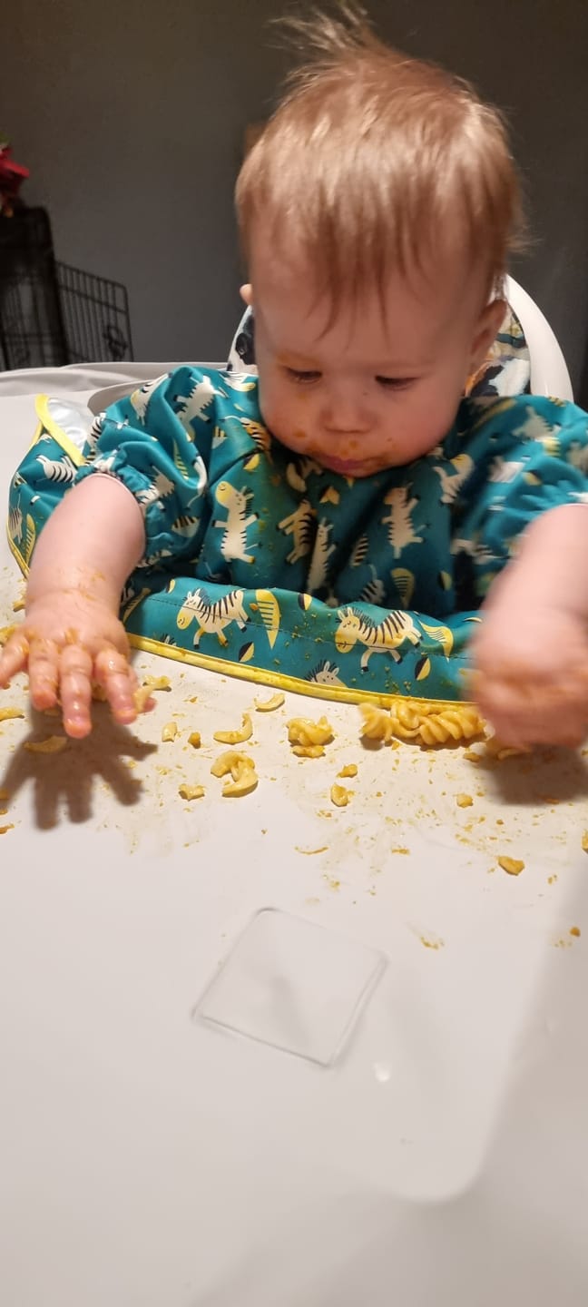 Customer photo review of Summer Weaning Bundle