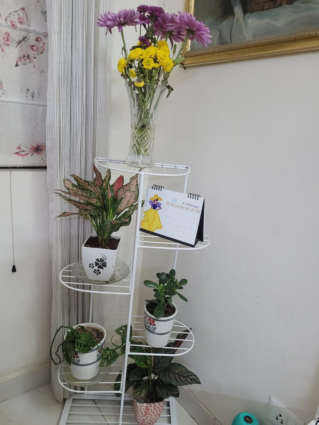 Customer photo review of Plant Stand Metal 6 Tier 7 Potted Multiple Flower Pot Holder Shelf Indoor Outdoor Planter Display Shelving Unit For Patio Garden Corner