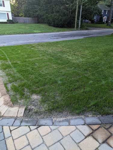 Customer photo review of GCI Turf N (Nitrogen) 20-0-0