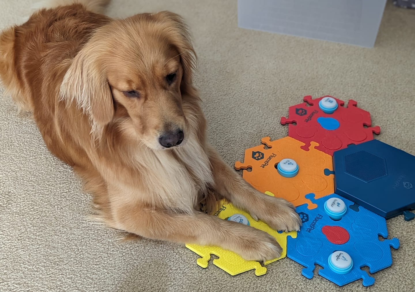 Customer photo review of Connect 12-Button Expansion Kit