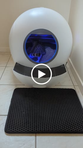 Customer video review of PaWz Automatic Smart Cat Litter Box Self-Cleaning With App Remote Control Large