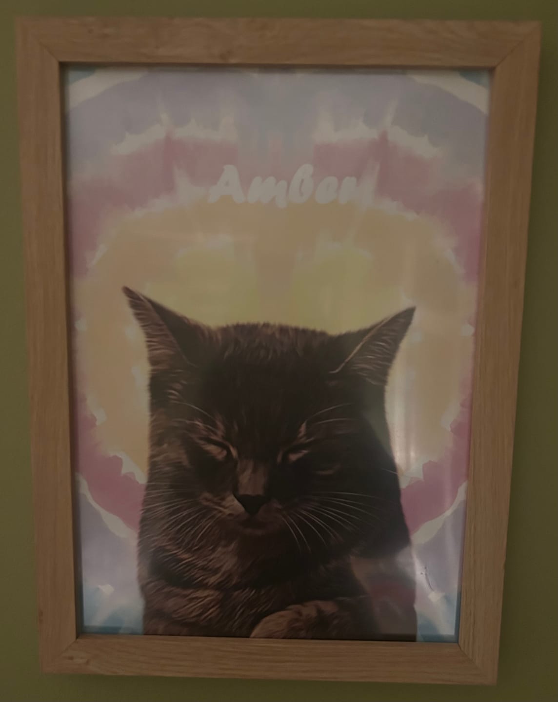 Customer photo review of Minimalist: Custom Pet Portrait