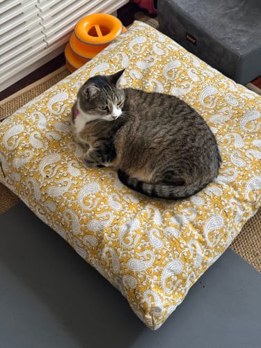 Customer photo review of Meditation Cushion ~ Mustard Paisley Zabuton