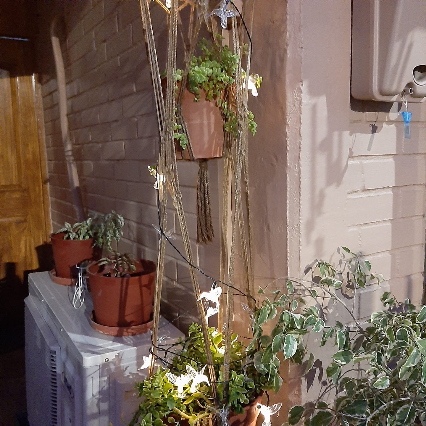Customer photo review of Colibrís Solares - IP65 Luz Cálida/Colores Largo 5 m