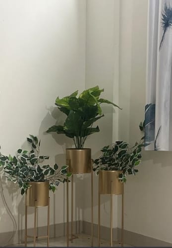 Customer photo review of Modern Plant Stand-Big Tall Metal Stands Pots for Home Decoration of Living Room