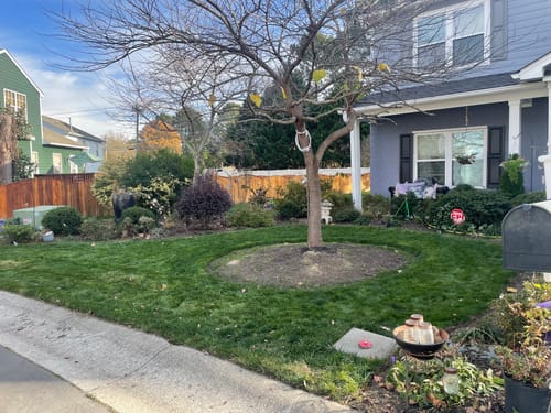 Customer photo review of Protene Performance Winter Fertilizer