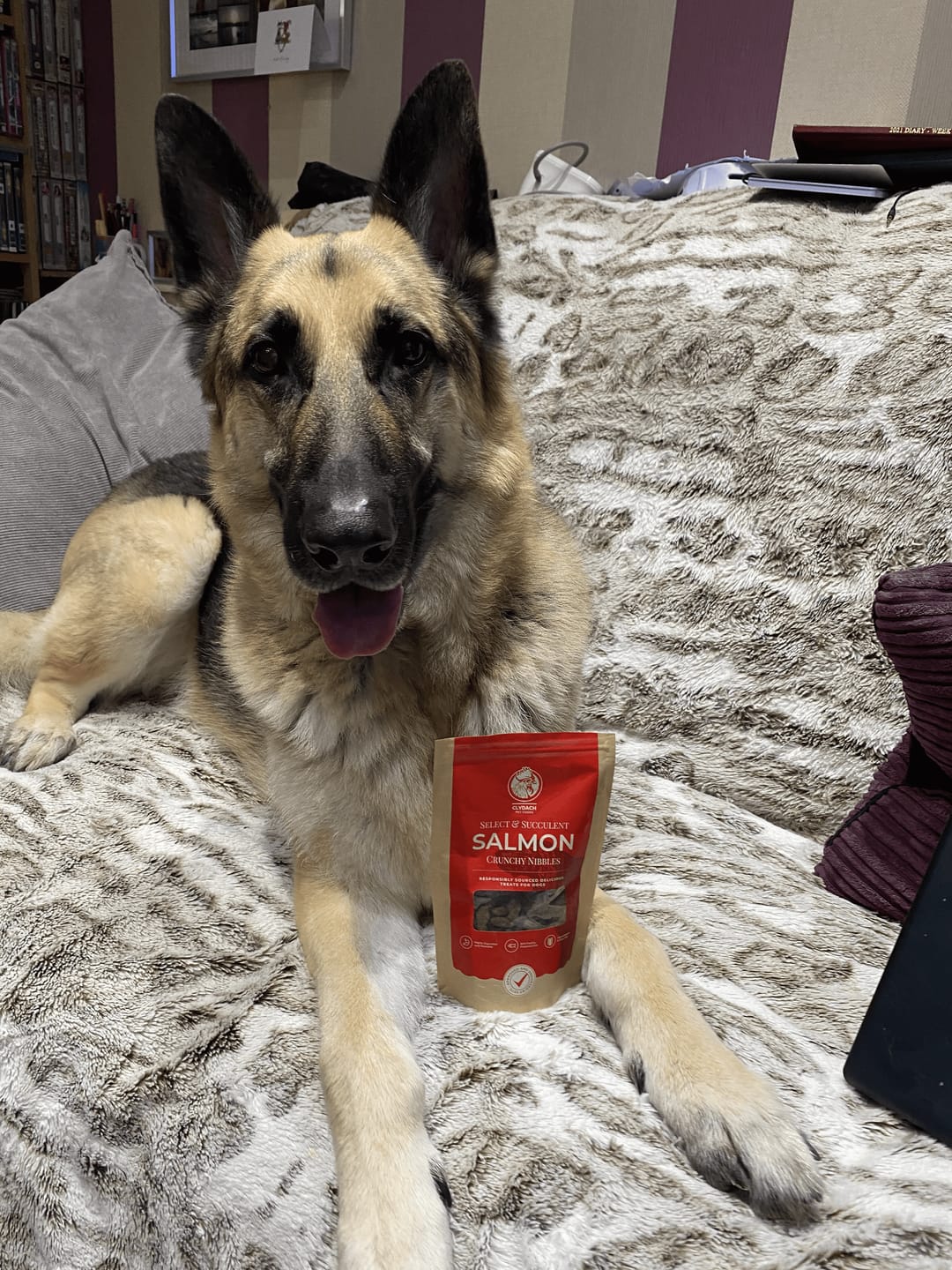 Customer photo review of Select Salmon - Dog Treats