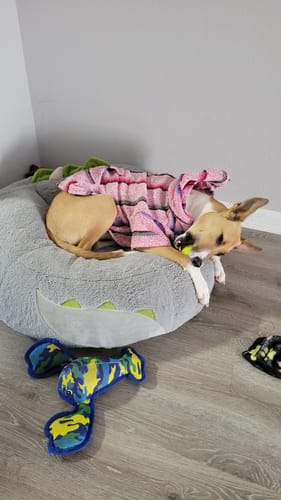 Customer photo review of Playa Poncho - Surprise Color