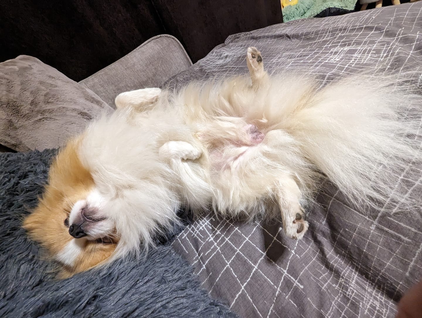 Customer photo review of Sofa-lova Bombay