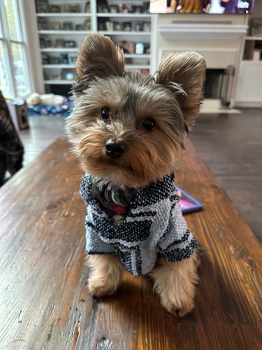 Customer photo review of Playa Poncho - Surprise Color