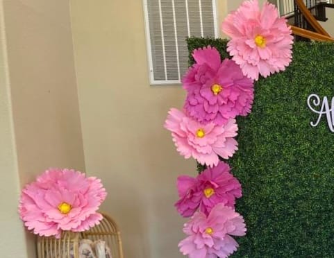 Customer photo review of Bulk Extra Size Peony Foam Flower Head Photo Mall Prop Wholesale