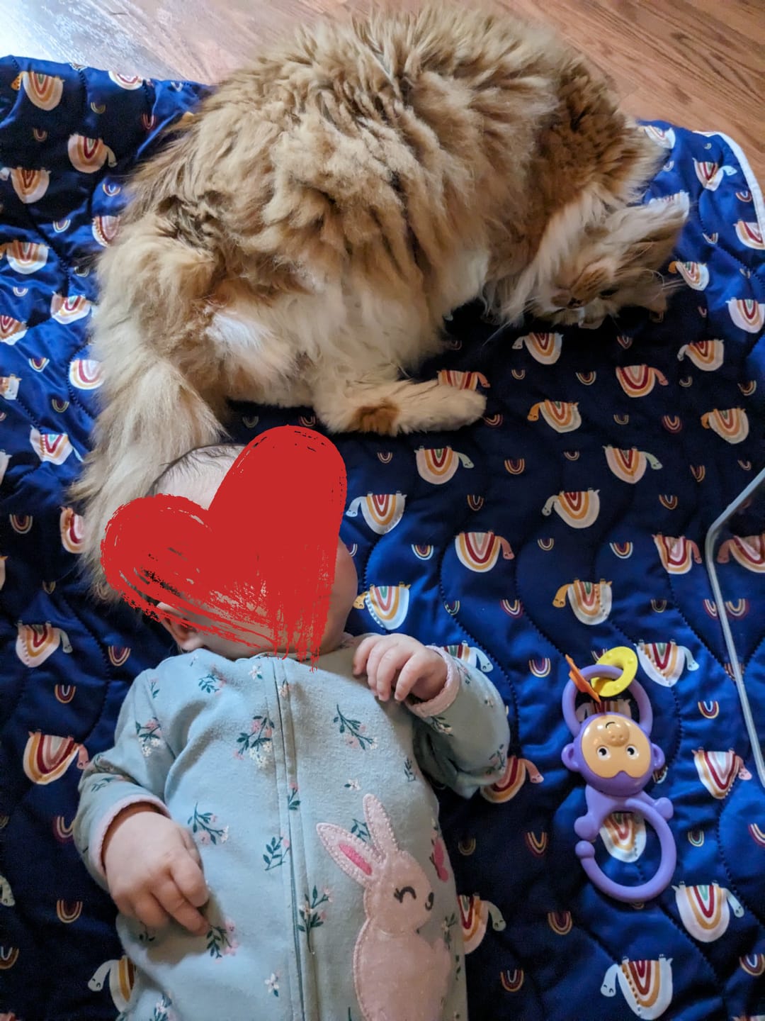 Customer photo review of Patterned Machine Washable Reversible Indoor/Outdoor Quilted Water Resistant Play Mat Blanket