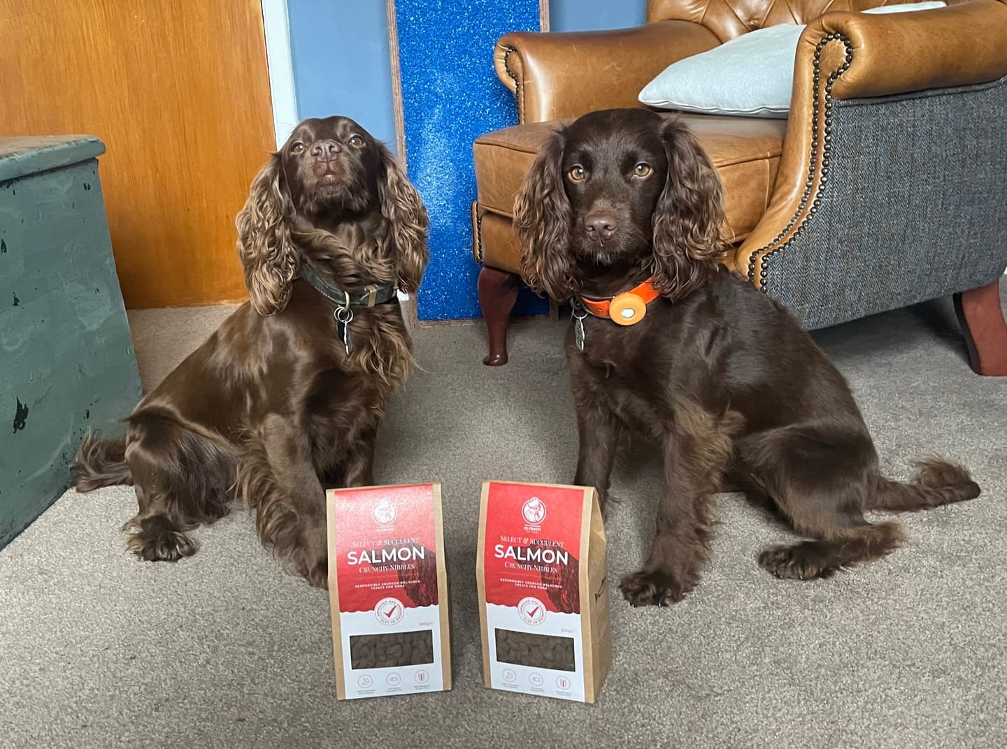 Customer photo review of Select Salmon - Dog Treats
