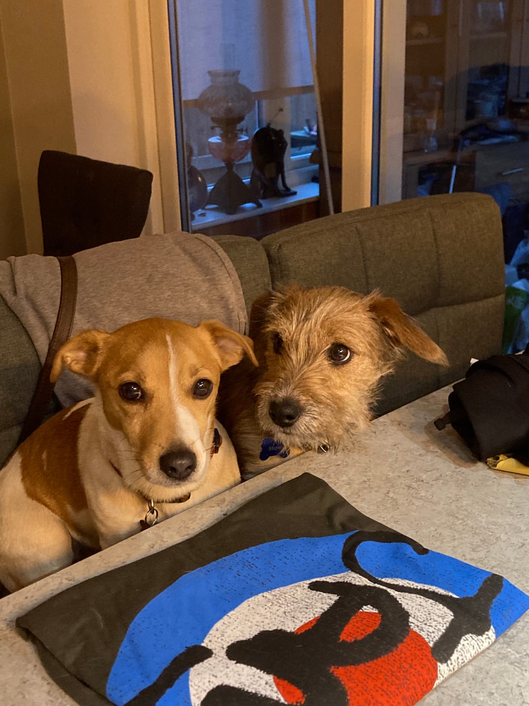 Customer photo review of Select Salmon - Dog Treats