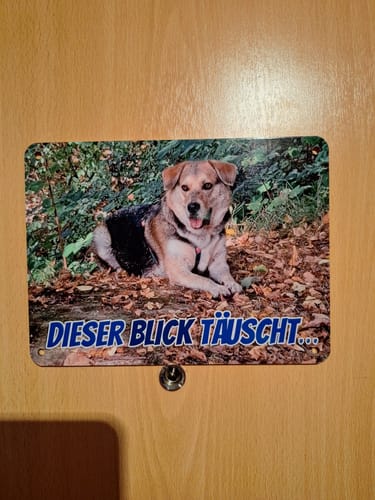 Customer photo review of Hunde-Türschild mit Foto & Wunschtext (UV- UND WETTERFEST)